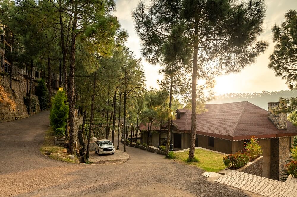 Driveway and villa view surrounded by pine trees
