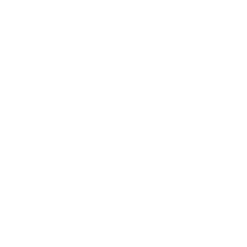 BlackRidge Media Logo