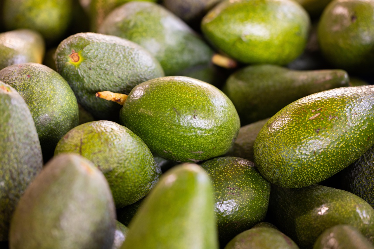 Avocado processing