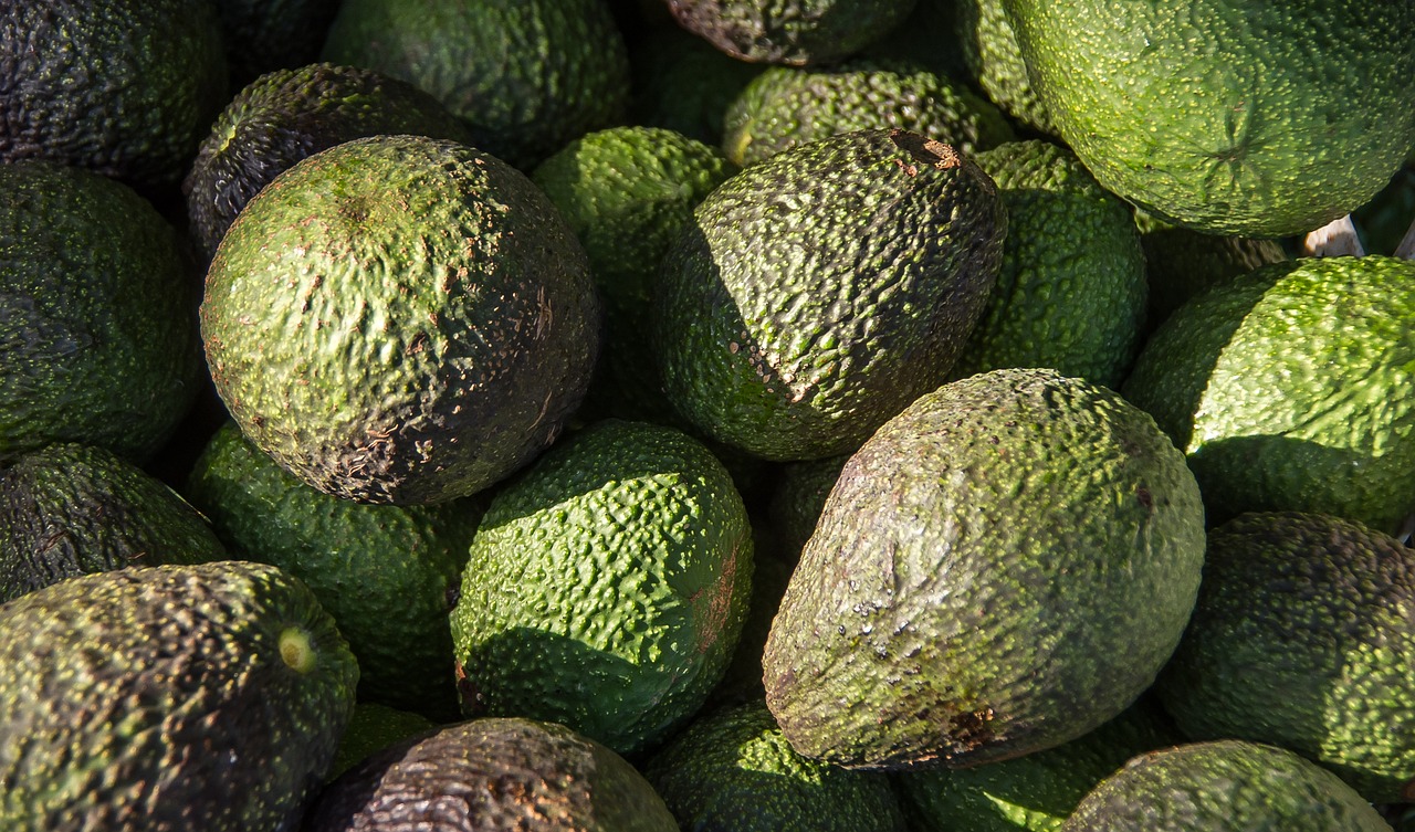 Fresh Hass avocados