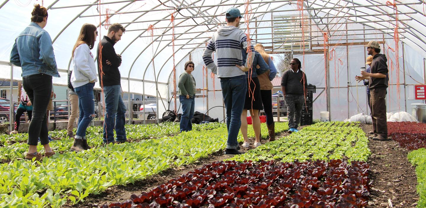 Agricultural education