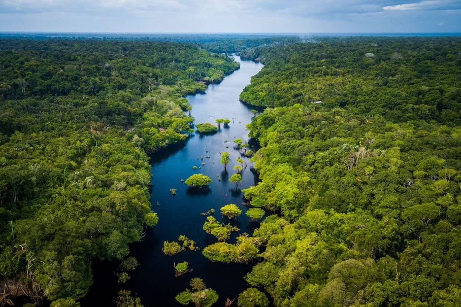 Amazon rainforest conservation