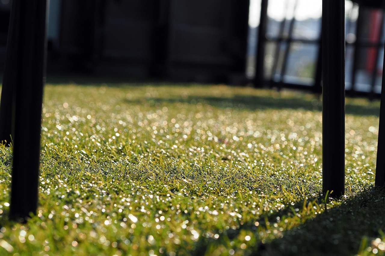 Artificial Grass