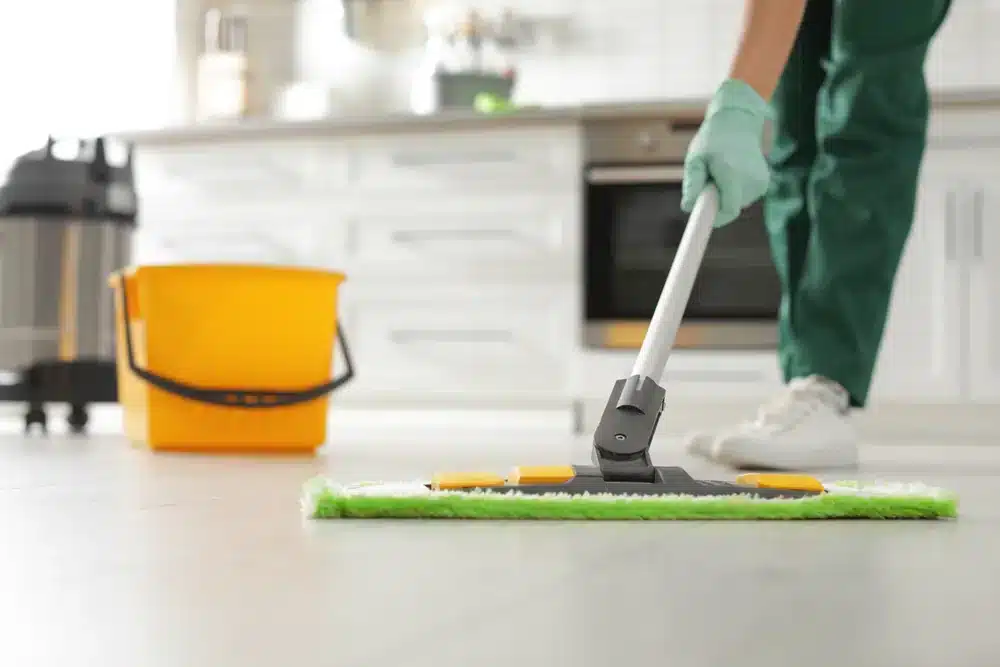 Professional cleaning in modern kitchen