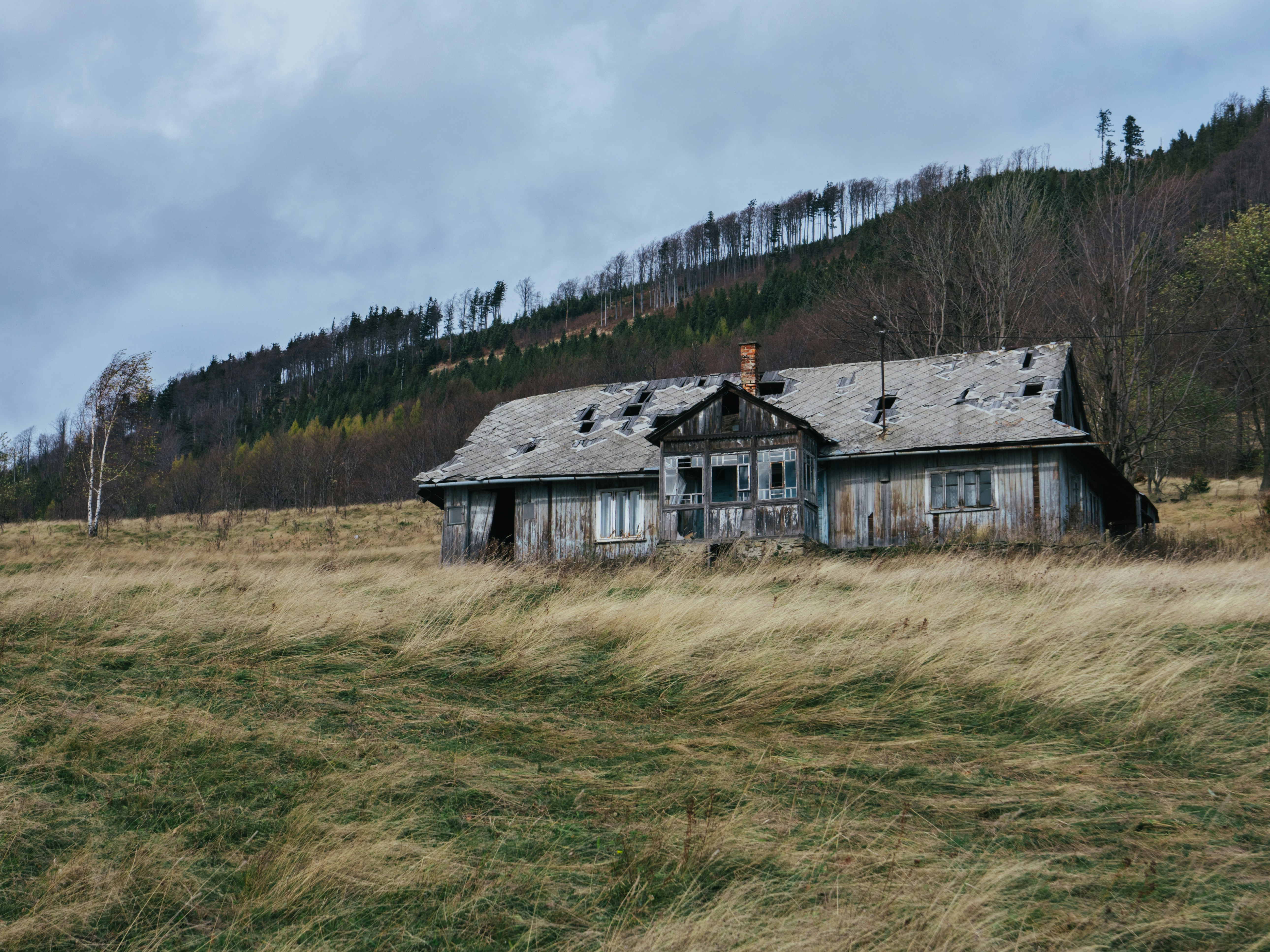 Vacant or Abandoned Property Sales