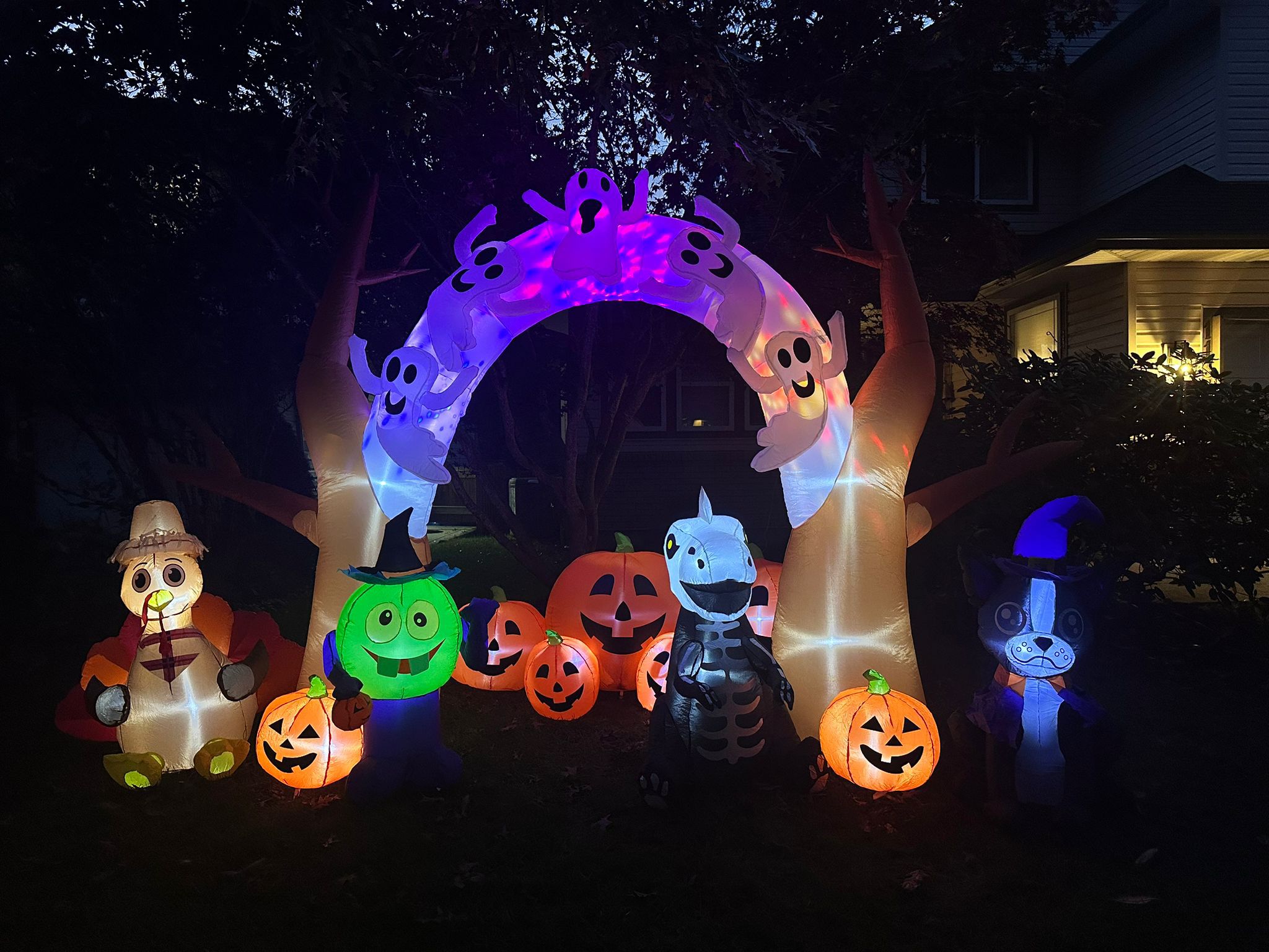 Professional Christmas light installation by LITUP Vancouver 3