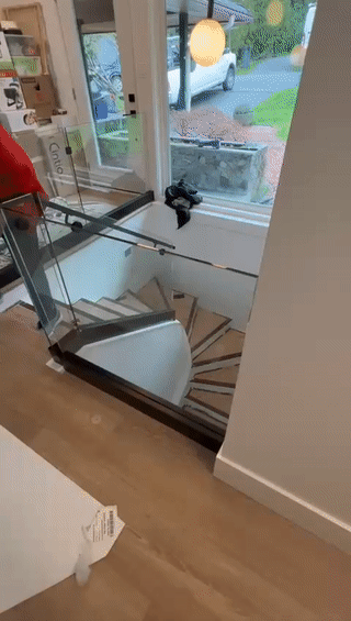 Modern glass staircase with railings