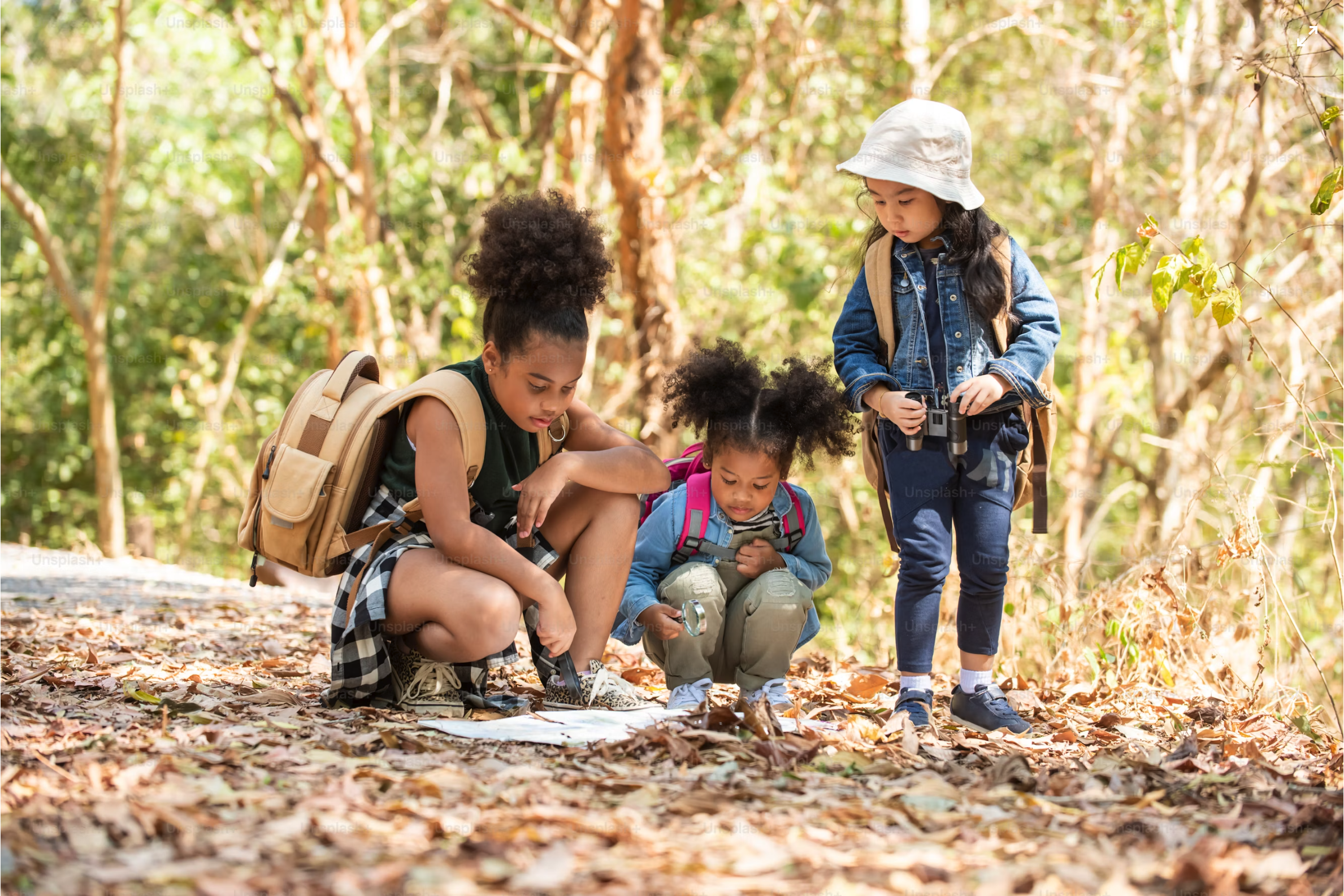 Kids exploring and learning together outdoors
