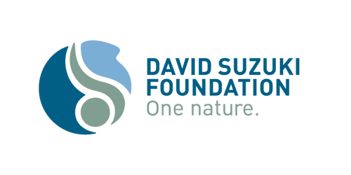 David Suzuki Foundation