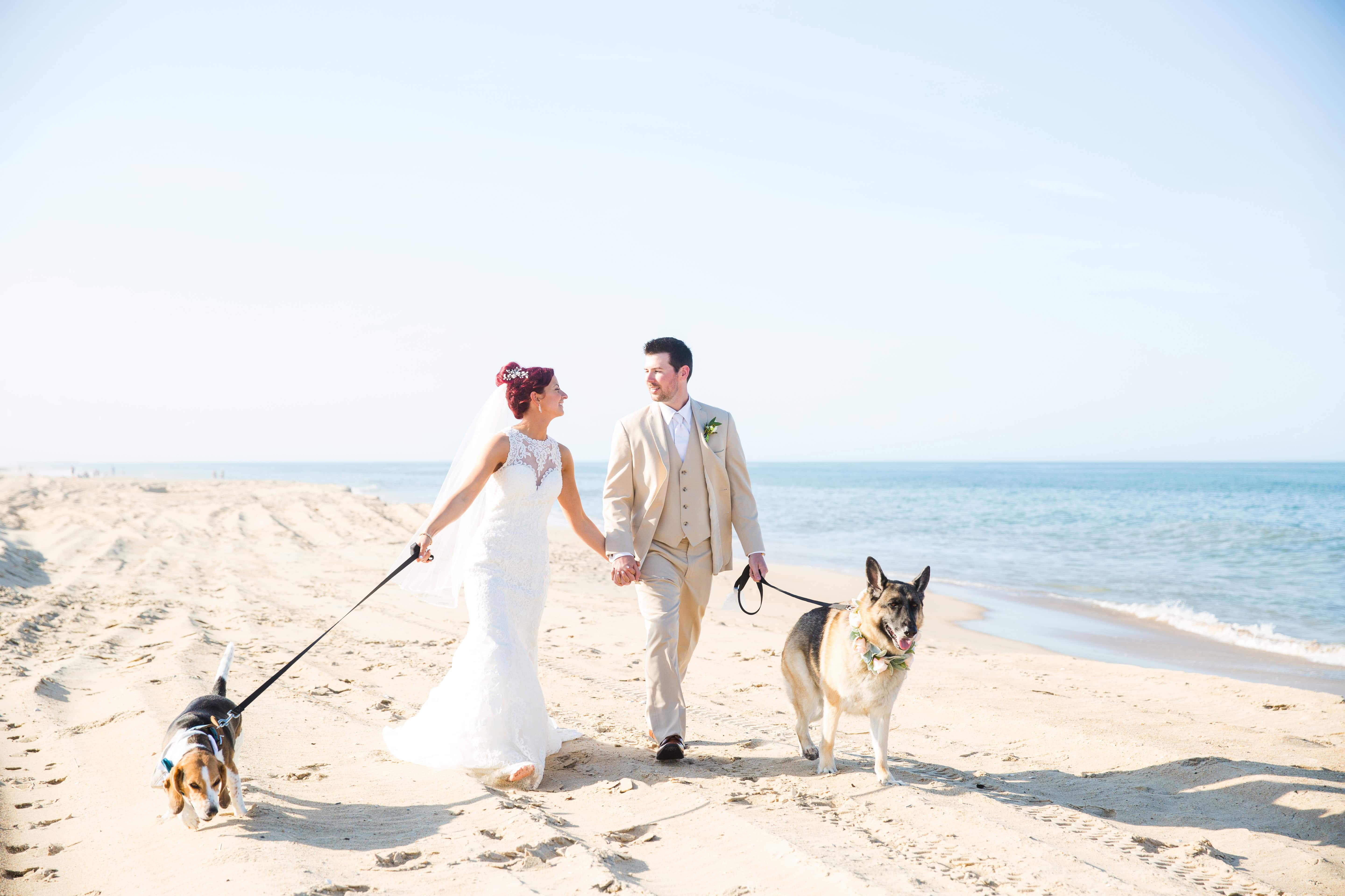 Beach Wedding with Dogs