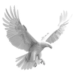 White Eagle