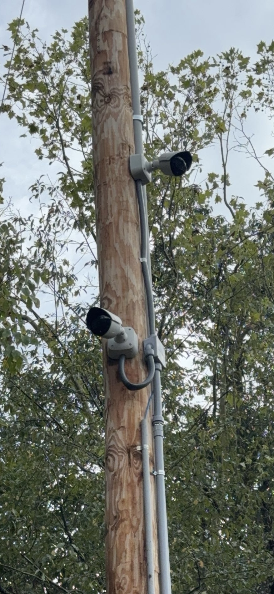 Pole mounted commercial security cameras for perimeter surveillance